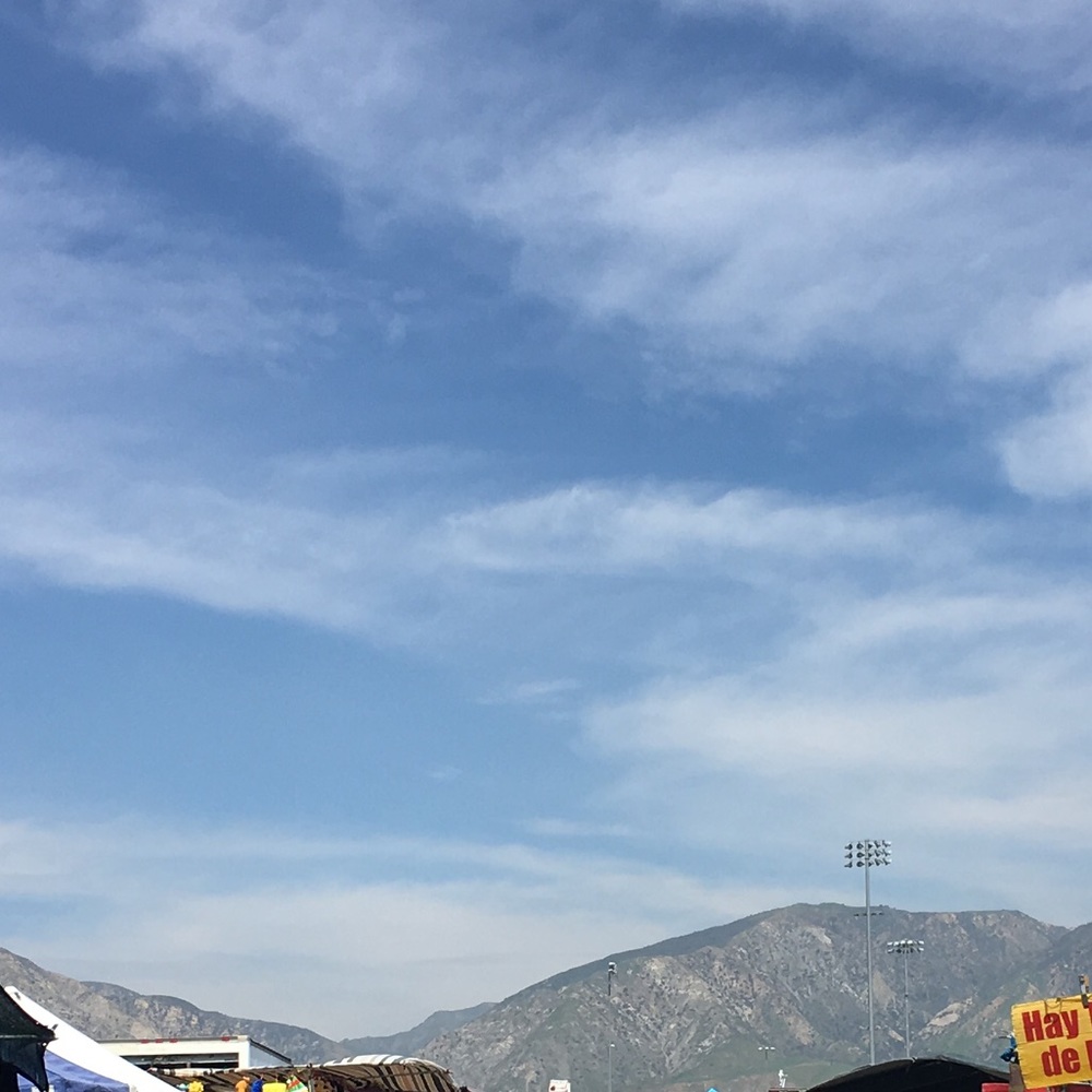 Meet your Posher, Fabiola